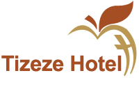 tizeze logo